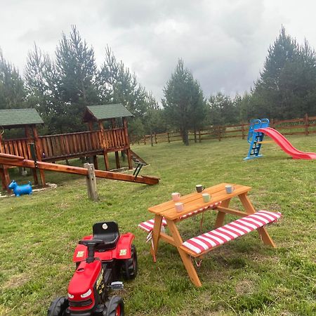 Vila Carna Zlatibor Luaran gambar