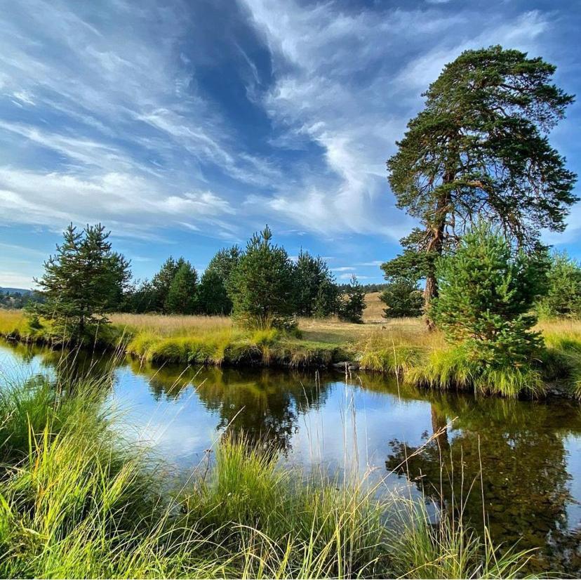 Vila Carna Zlatibor Luaran gambar